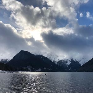 Meet your Posher, Mackenzie